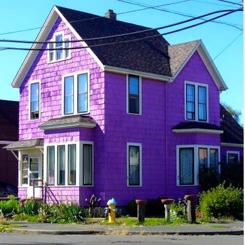 Ngôi nhà màu tím mộng mơ